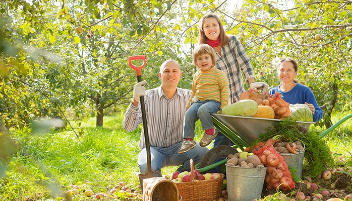 Impacts de la loi sur la restauration de la nature pour les agriculteurs